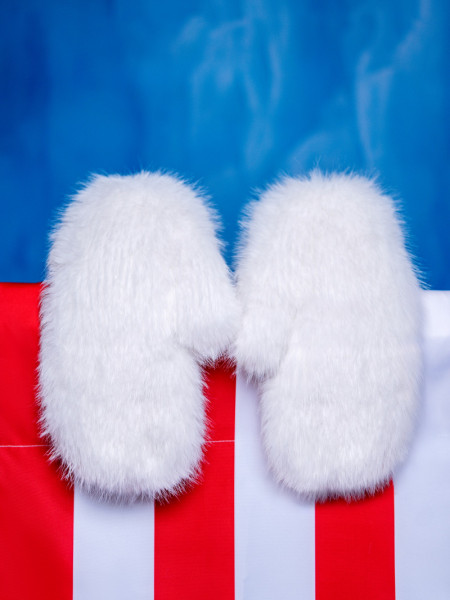 Arctic Snow Mittens