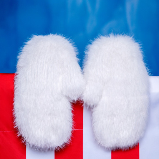 Arctic Snow Mittens